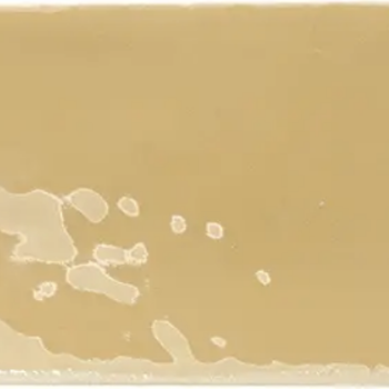 MVG1352 Rebels Mustard Gloss