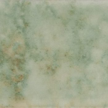 MVG1585 Potters Agave